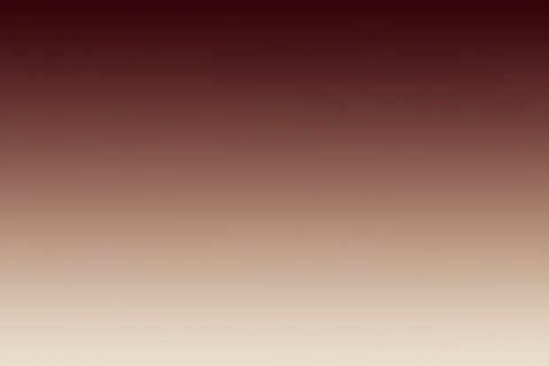 Promotion banner 2